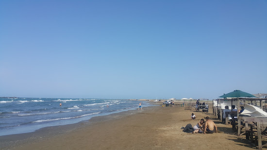 Buzovna Cimerliyi