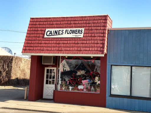 Caines Flowers image 1