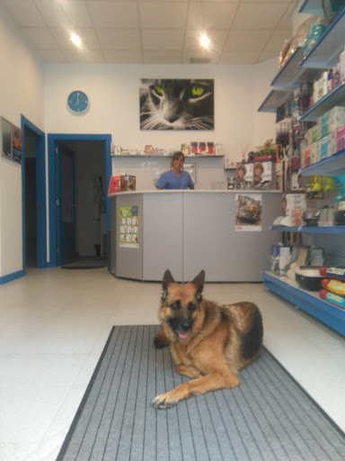 Clínica Veterinaria Portuvet en Portugalete