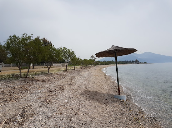 Kambos beach