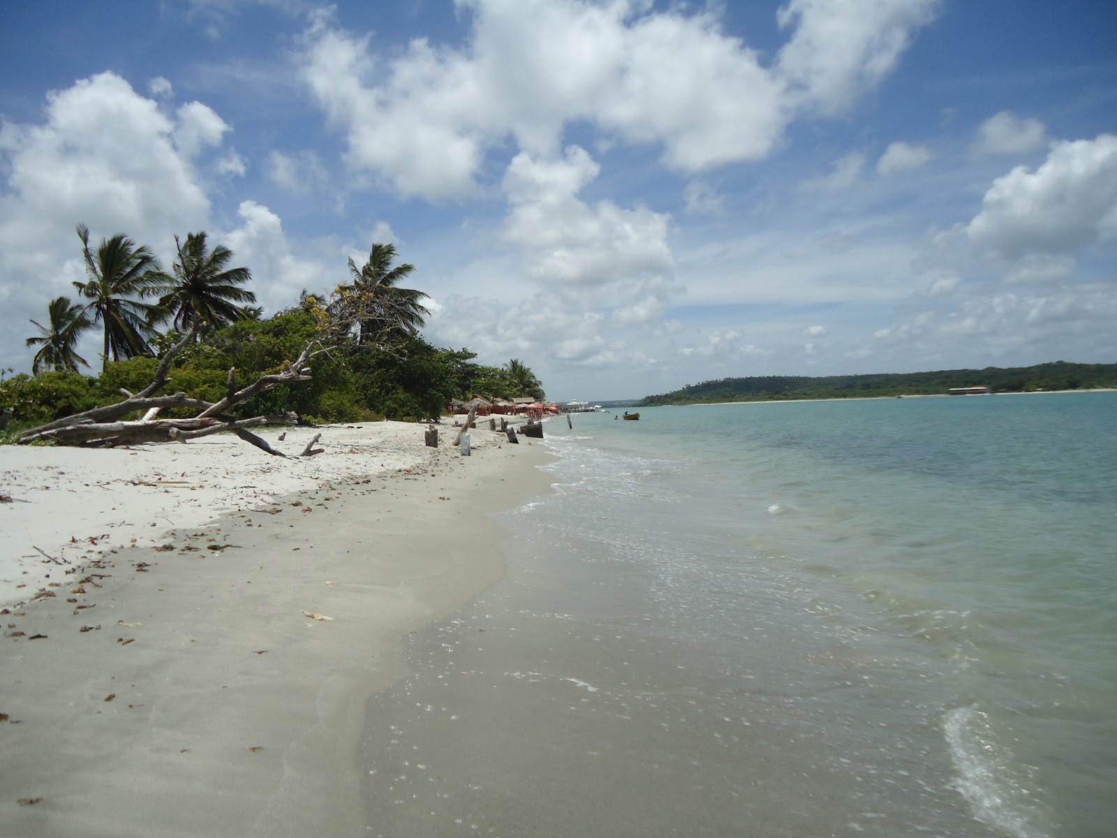 Φωτογραφία του Παραλία της Κορόα ντο Αβιάο - δημοφιλές μέρος μεταξύ λάτρεις της χαλάρωσης