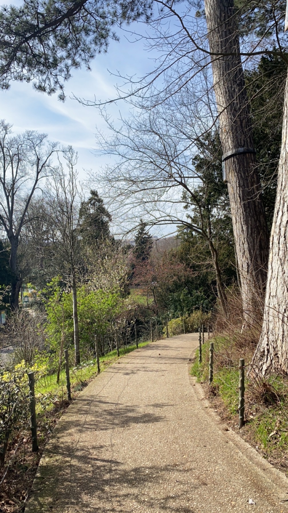 Photo n° 2 de l'avis de Ghadeer.a fait le 16/03/2023 à 19:22