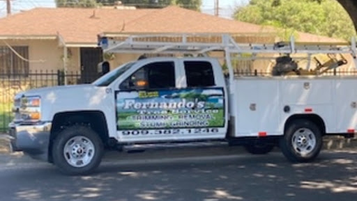 Tree service San Bernardino