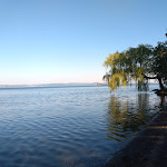 Photo n°1 de l'avis de chris.o fait le 09/07/2020 à 19:56 sur le  Trattoria da Giggetto à Gradoli