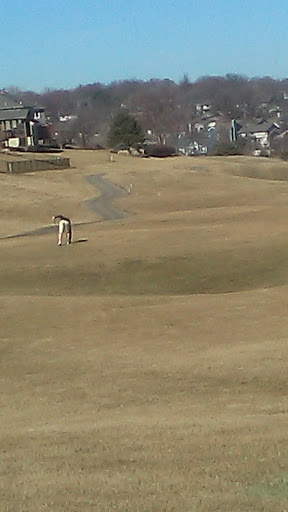 Golf Course «Tregaron Golf Course», reviews and photos, 13909 Glengarry Cir, Bellevue, NE 68123, USA