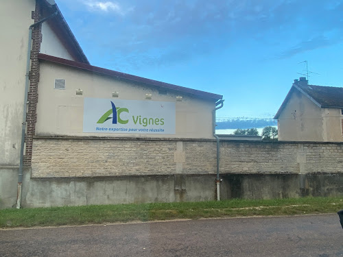 AC Vignes à Gyé-sur-Seine