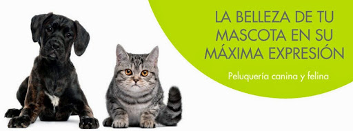 Clínica Veterinària Baix Penedès