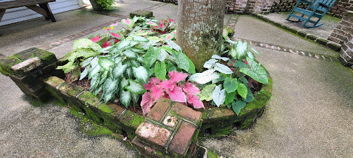 Gift Shop «The Original Hammock Shop», reviews and photos, 10880 Ocean Hwy, Pawleys Island, SC 29585, USA