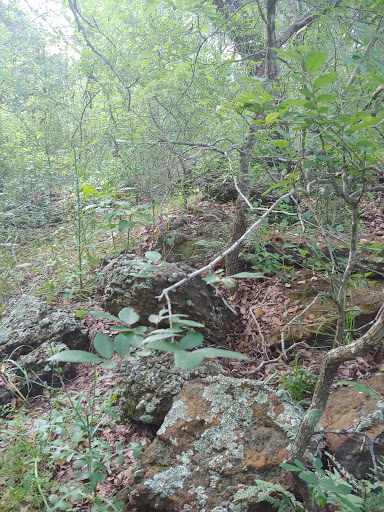 Nature Preserve «Jackson Nature Park», reviews and photos, 9284 County Rd 401, Stockdale, TX 78160, USA