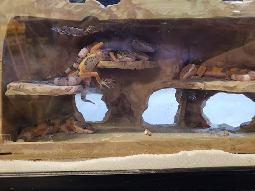 Pet Supply Store «Petco Animal Supplies», reviews and photos, 8909 Branch Ave d, Clinton, MD 20735, USA