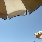 Photo n°3 de l'avis de Norma.a fait le 22/07/2023 à 11:07 sur le  Il Cardellino à Rosignano Solvay