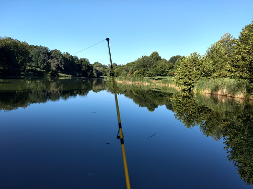 Park «Cherokee Park», reviews and photos, 745 Cochran Hill Rd, Louisville, KY 40206, USA