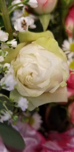 Florist «North End Florist», reviews and photos, 403 N Charlotte St, Pottstown, PA 19464, USA