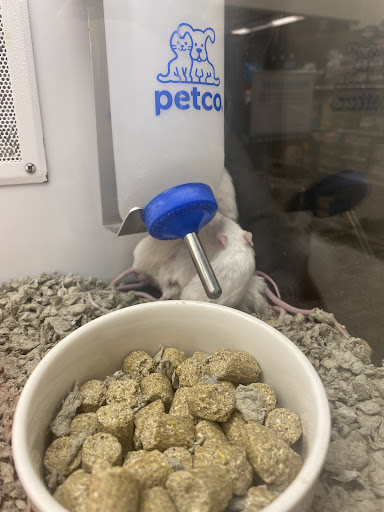 Pet Supply Store «Petco Animal Supplies», reviews and photos, 1090 Fort Union Blvd, Midvale, UT 84047, USA