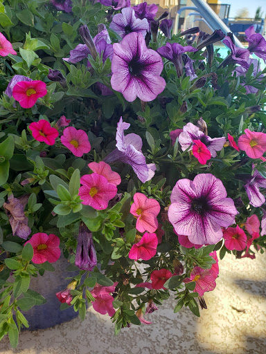 Spa «Joya Spa», reviews and photos, 4949 E Lincoln Dr, Paradise Valley, AZ 85253, USA