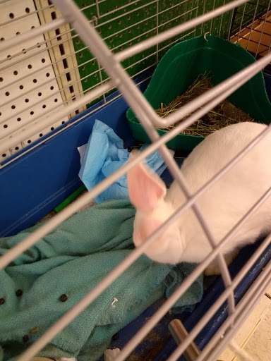 Pet Supply Store «PetSmart», reviews and photos, 290 S Broadway, Salem, NH 03079, USA