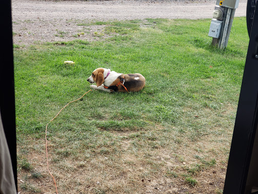 Gym «Bozeman Hot Springs Spa and Fitness», reviews and photos, 81123 Gallatin Rd, Bozeman, MT 59718, USA