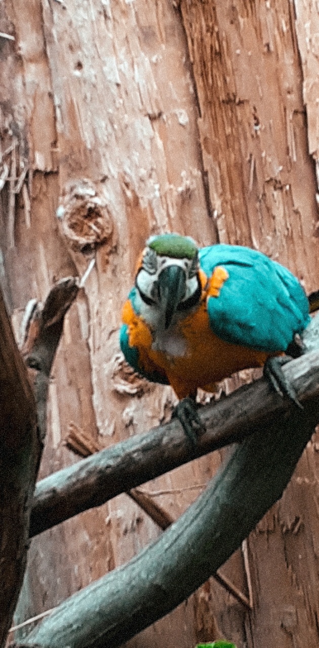 Photo n° 19 de l'avis de Ciccio.e fait le 28/07/2020 à 01:20