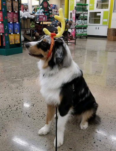 Pet Supply Store «PetSmart», reviews and photos, 620 N West End Blvd, Quakertown, PA 18951, USA