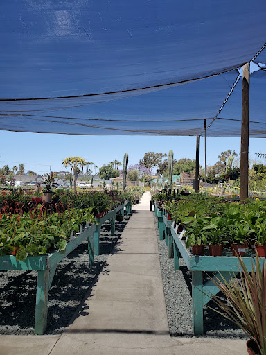 Terra Bella Nursery, Inc. image