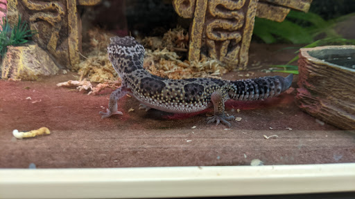 Pet Supply Store «PetSmart», reviews and photos, 9589 Ridgetop Blvd NW, Silverdale, WA 98383, USA