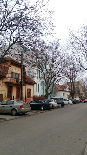 Strada Franyó Zoltán 6, Timișoara 300014, România