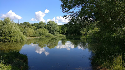 Réserve Biologique de Fondurane à Montauroux