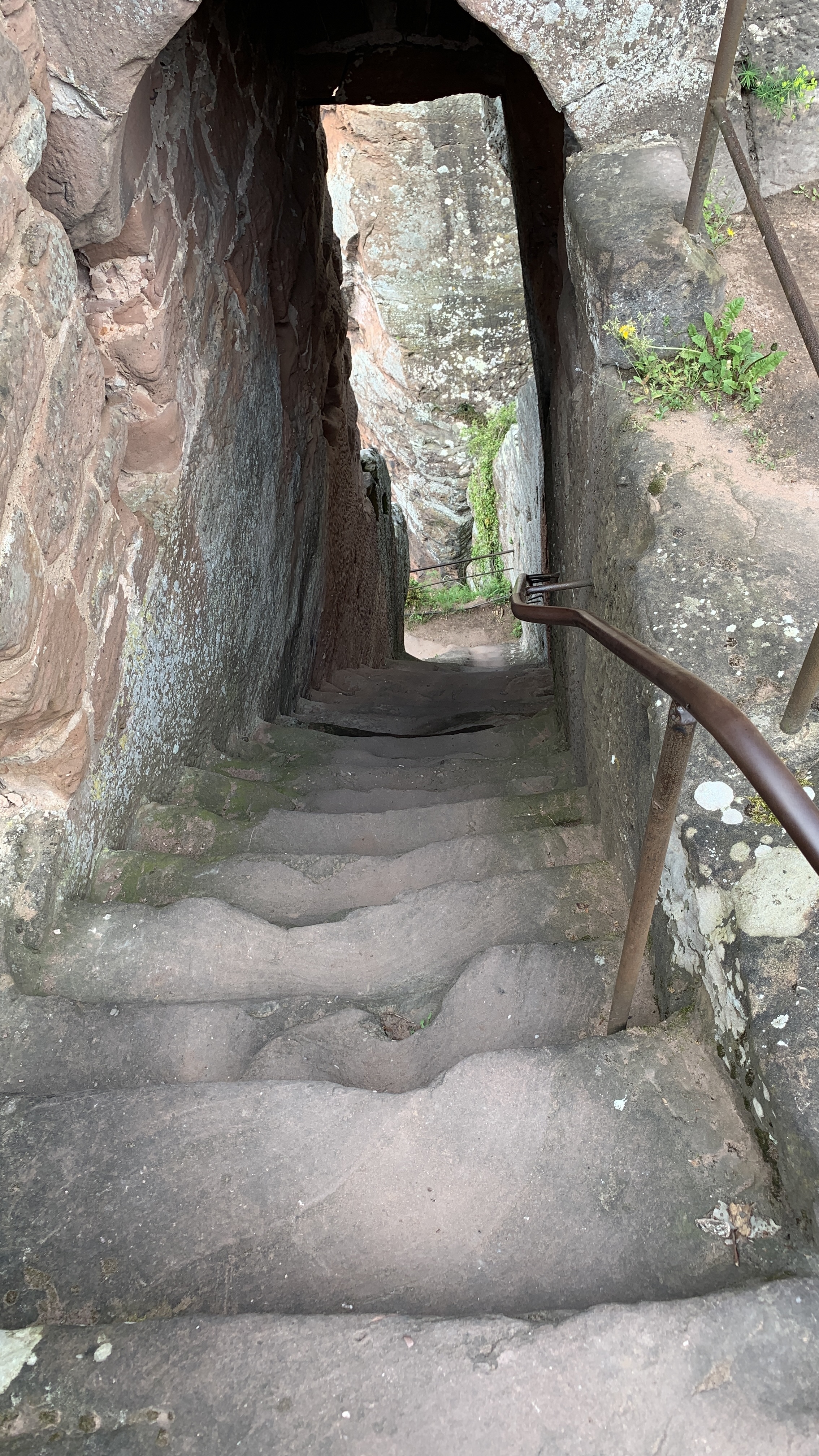 Photo n° 3 de l'avis de Klapphorn. fait le 17/05/2023 à 11:06