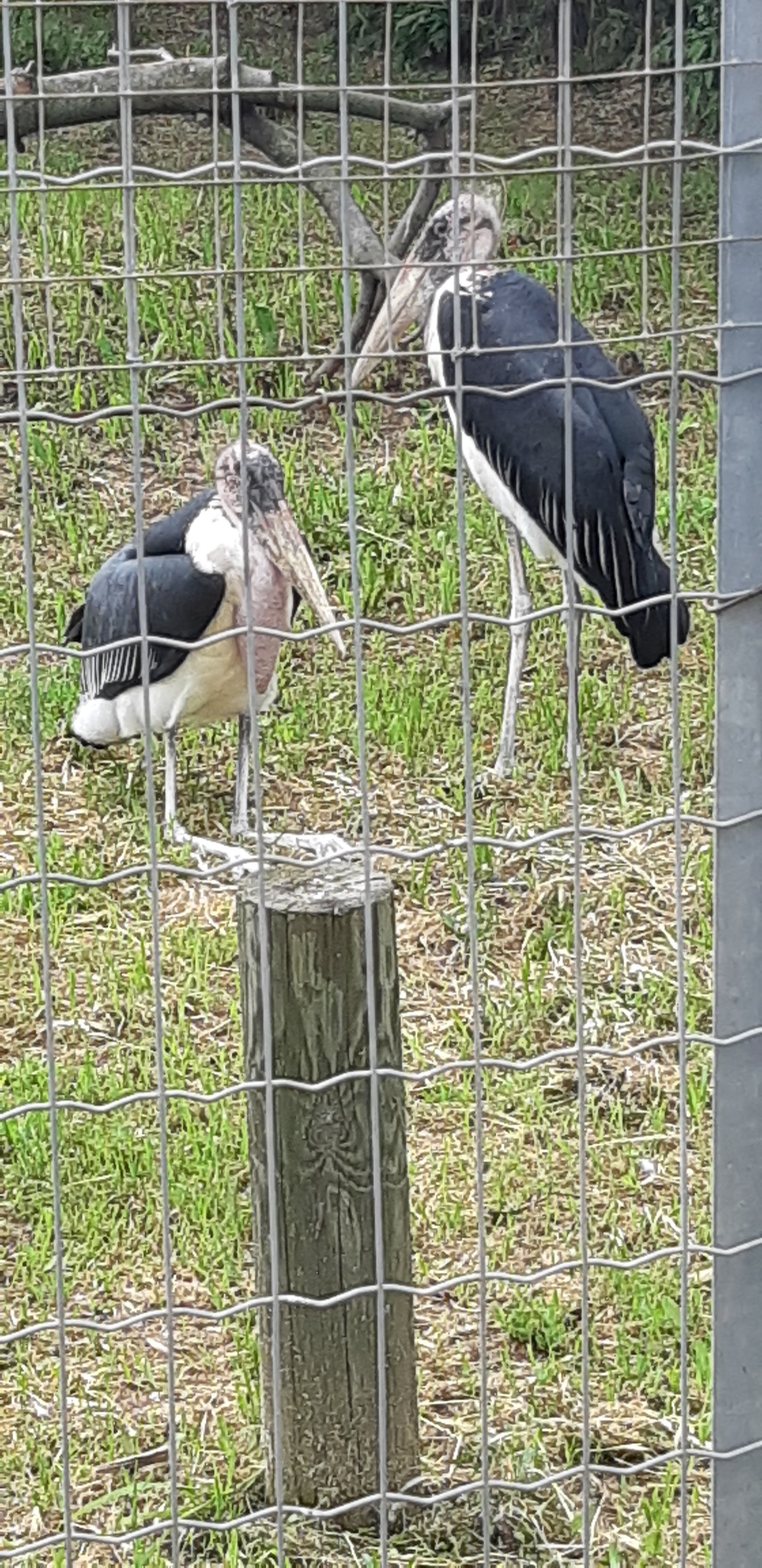 Photo n° 9 de l'avis de Laëtitia.a fait le 07/05/2018 à 17:38