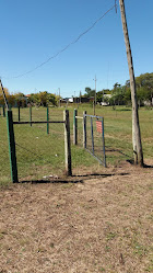 Club Cañeros Baby Futbol