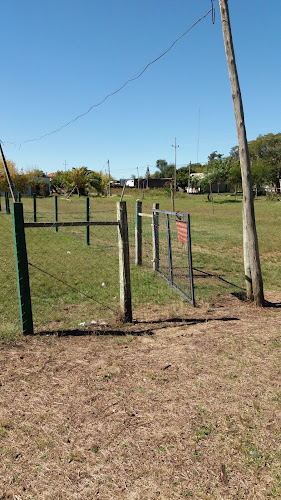 Club Cañeros Baby Futbol