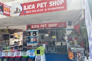 Ilıca Petshop / Pet shop ilica image