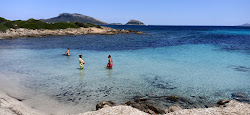 Photo de Spiaggia Terrata avec plusieurs petites baies