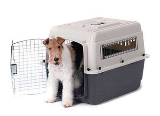 Travel Dogs Cargo - traslados de mascotas a todo el País