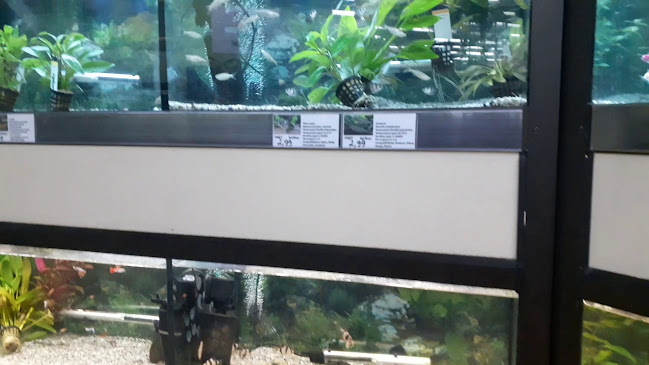 Opinii despre Zoo Center în <nil> - Veterinar