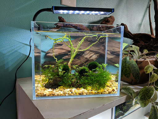 Tropical Fish Store «Aquarium Zen», reviews and photos, 920 NE 64th St, Seattle, WA 98115, USA