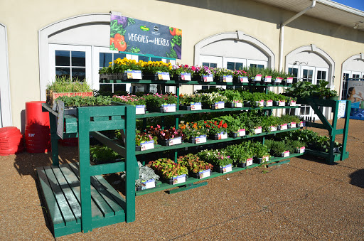 Hardware Store «Ace Hardware of Donelson», reviews and photos, 2730 Lebanon Pike, Nashville, TN 37214, USA