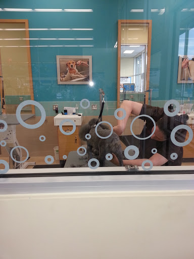 Pet Supply Store «Petco Animal Supplies», reviews and photos, 110 Percival Rd, Columbia, SC 29206, USA