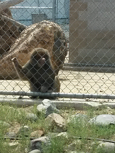 Zoo «Sierra Safari Zoo», reviews and photos, 10200 N Virginia St, Reno, NV 89506, USA
