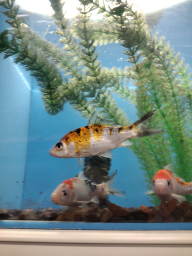 Shopping Mall «New Centre Market», reviews and photos, 4711-4719 New Centre Dr, Wilmington, NC 28405, USA