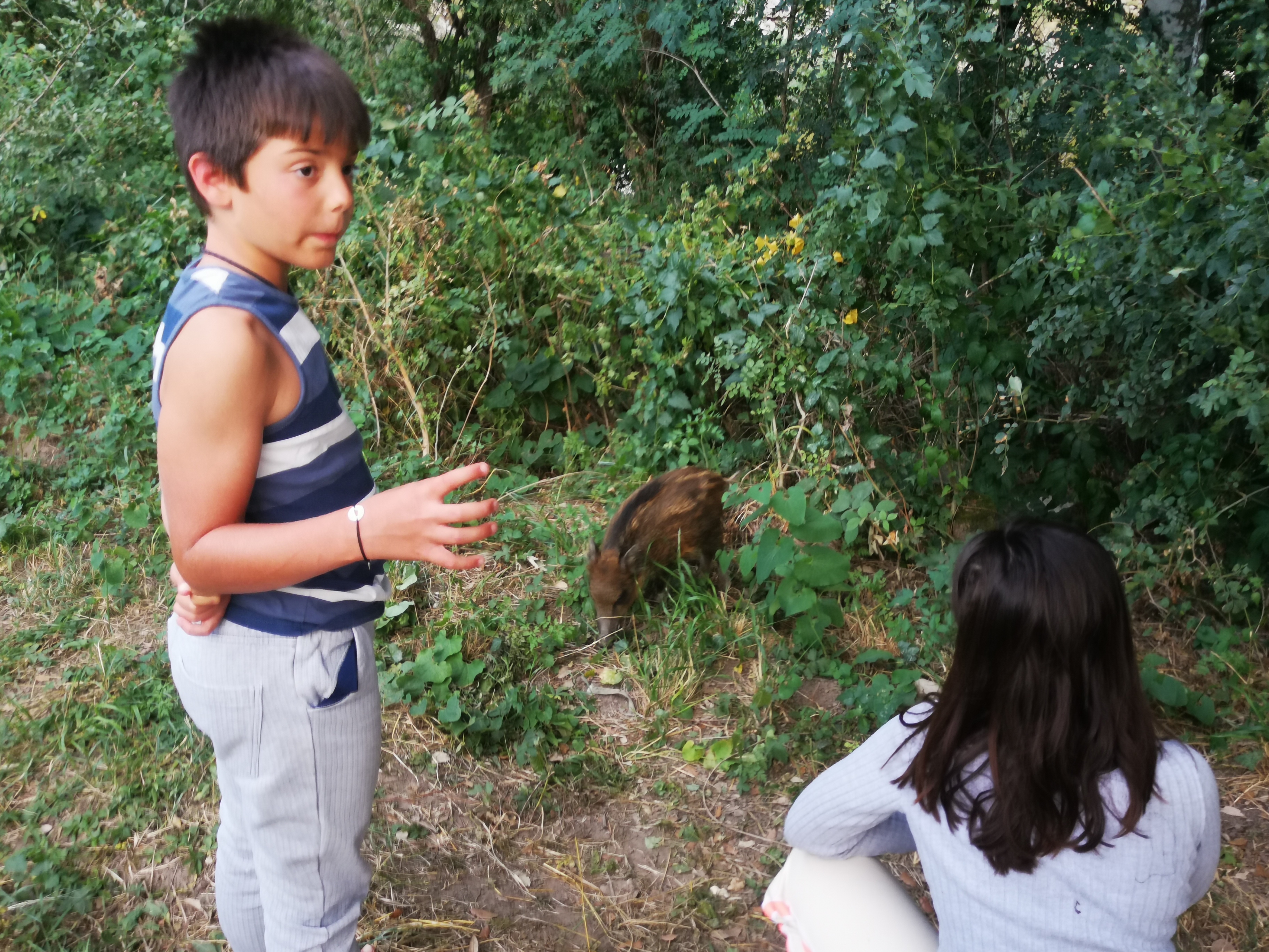 Photo n° 2 de l'avis de Estelle.l fait le 25/07/2020 à 21:19