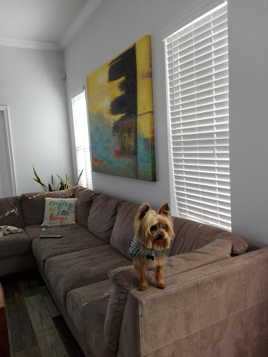 Golf Course «Deer Island Country Club», reviews and photos, 18000 Eagles Club House Way, Tavares, FL 32778, USA