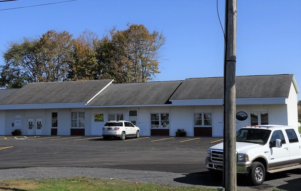 Eternal Beauty 13304