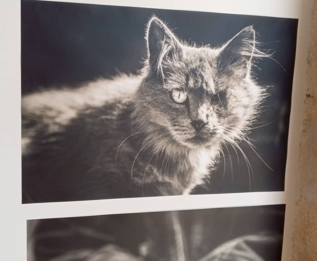 Photo n° 1 de l'avis de Alexander.v fait le 24/04/2019 à 04:22