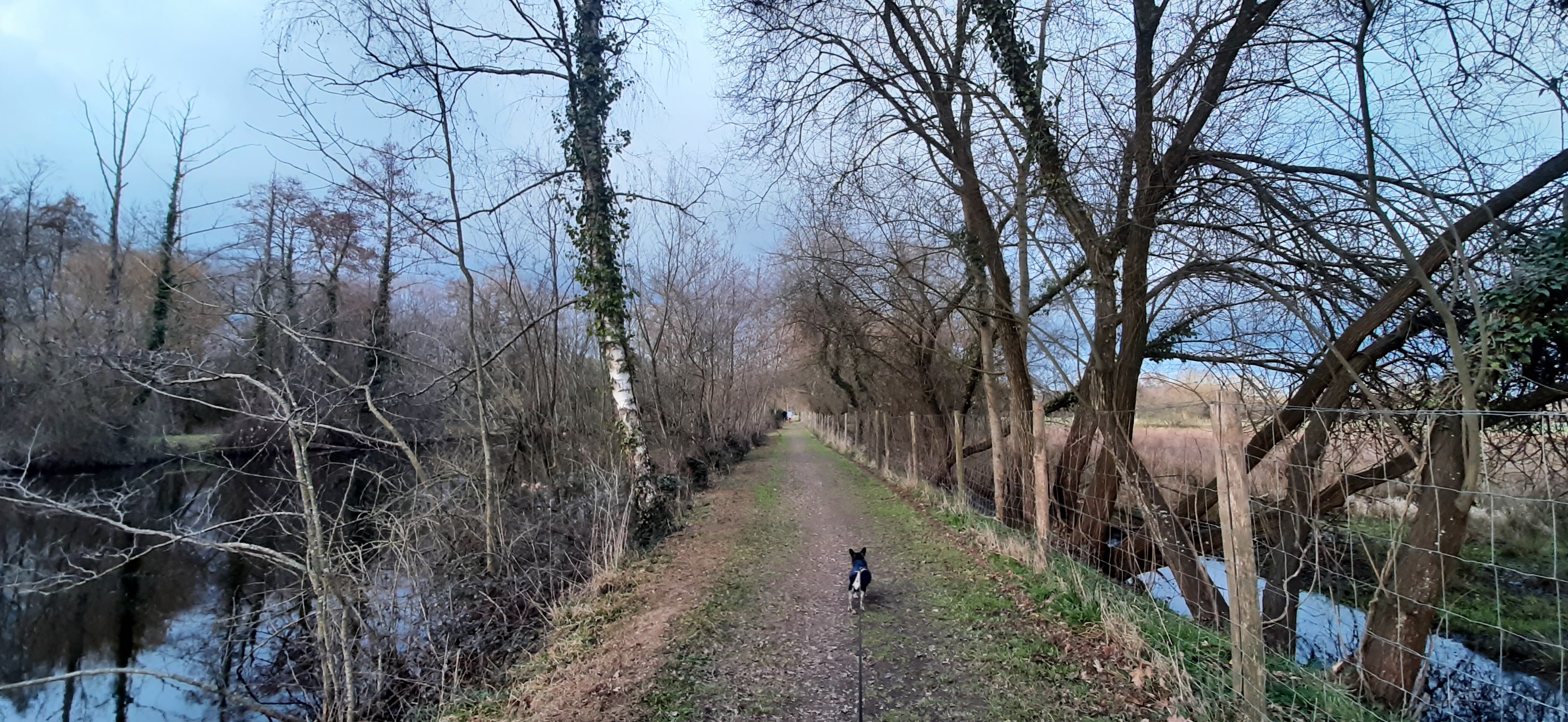 Photo n° 14 de l'avis de balouin.r fait le 11/03/2023 à 00:21