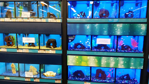 Pet Supply Store «Petco Animal Supplies», reviews and photos, 3300 Broadway St, Eureka, CA 95501, USA