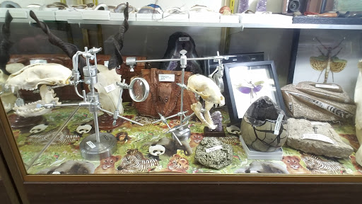 Toy Store «Brookside Toy and Science», reviews and photos, 330 W 63rd St, Kansas City, MO 64113, USA