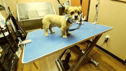 Pet Store «Pet Valu», reviews and photos, 2645 Shillington Rd, Sinking Spring, PA 19608, USA