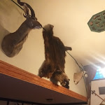 Photo n°3 de l'avis de vicentu.o fait le 26/01/2021 à 07:51 sur le  Landgasthof Schlotmann à Welver