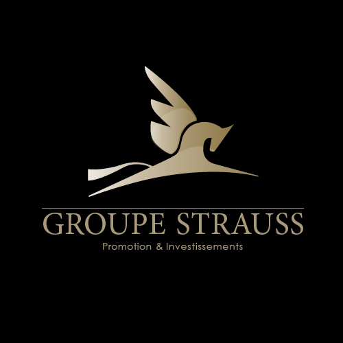 Groupe Strauss à Paris